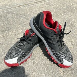 Men’s Nike Golf Shoes